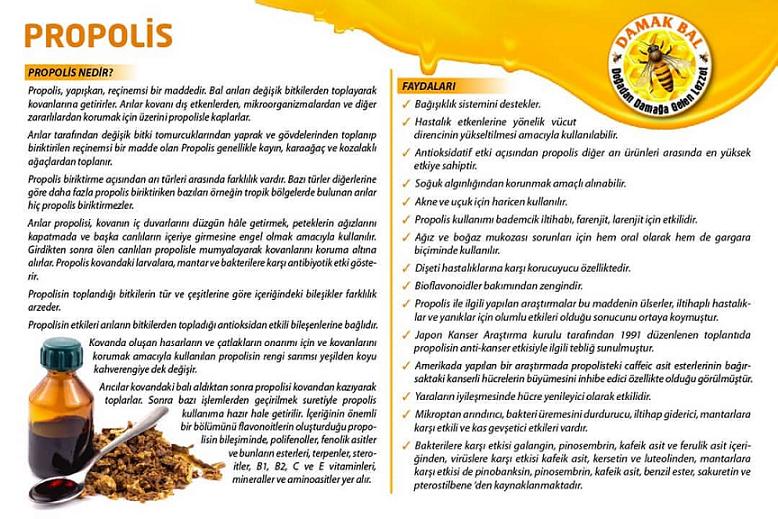 damla propolis